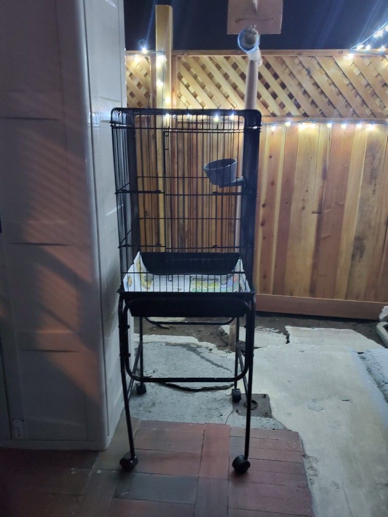 Bird Cage