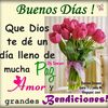 Yanelis