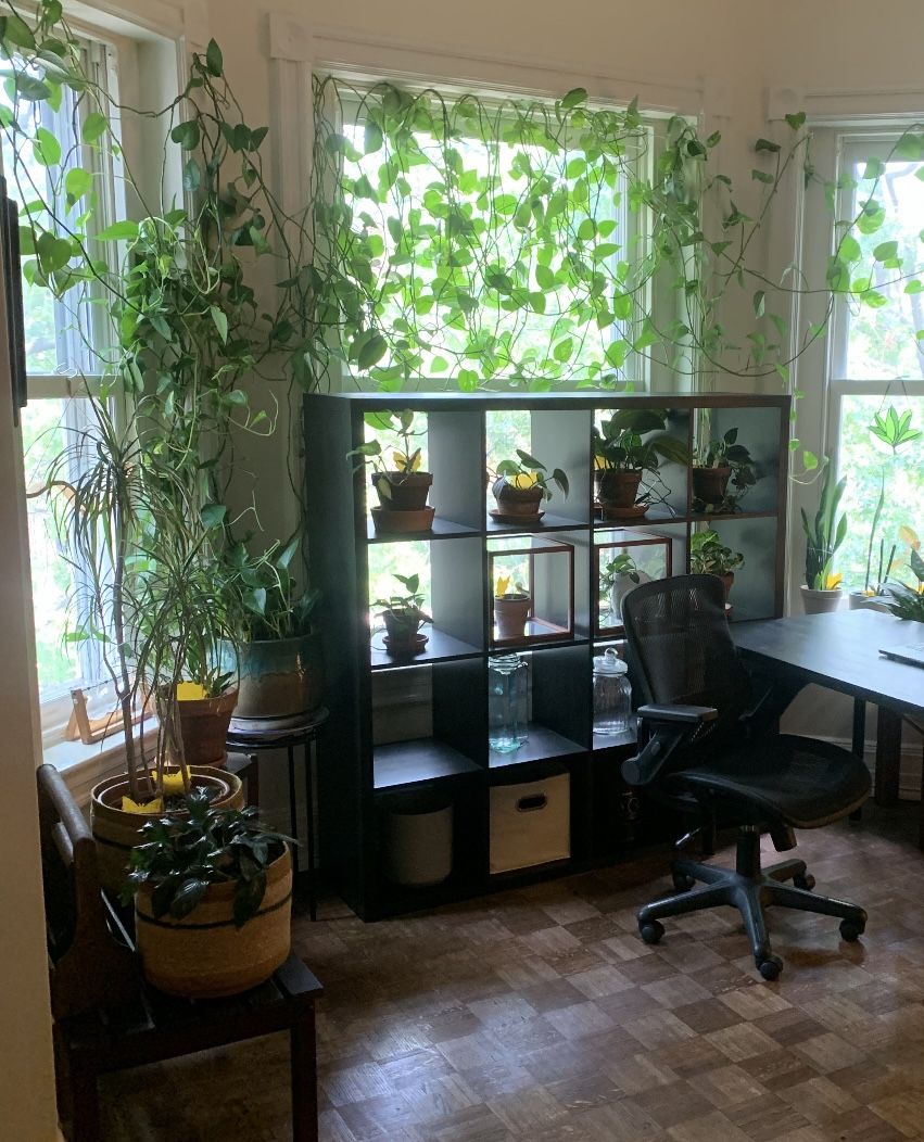 IKEA Kallax Shelves