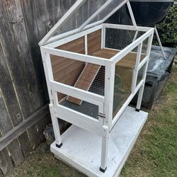 Bunny Habitat 