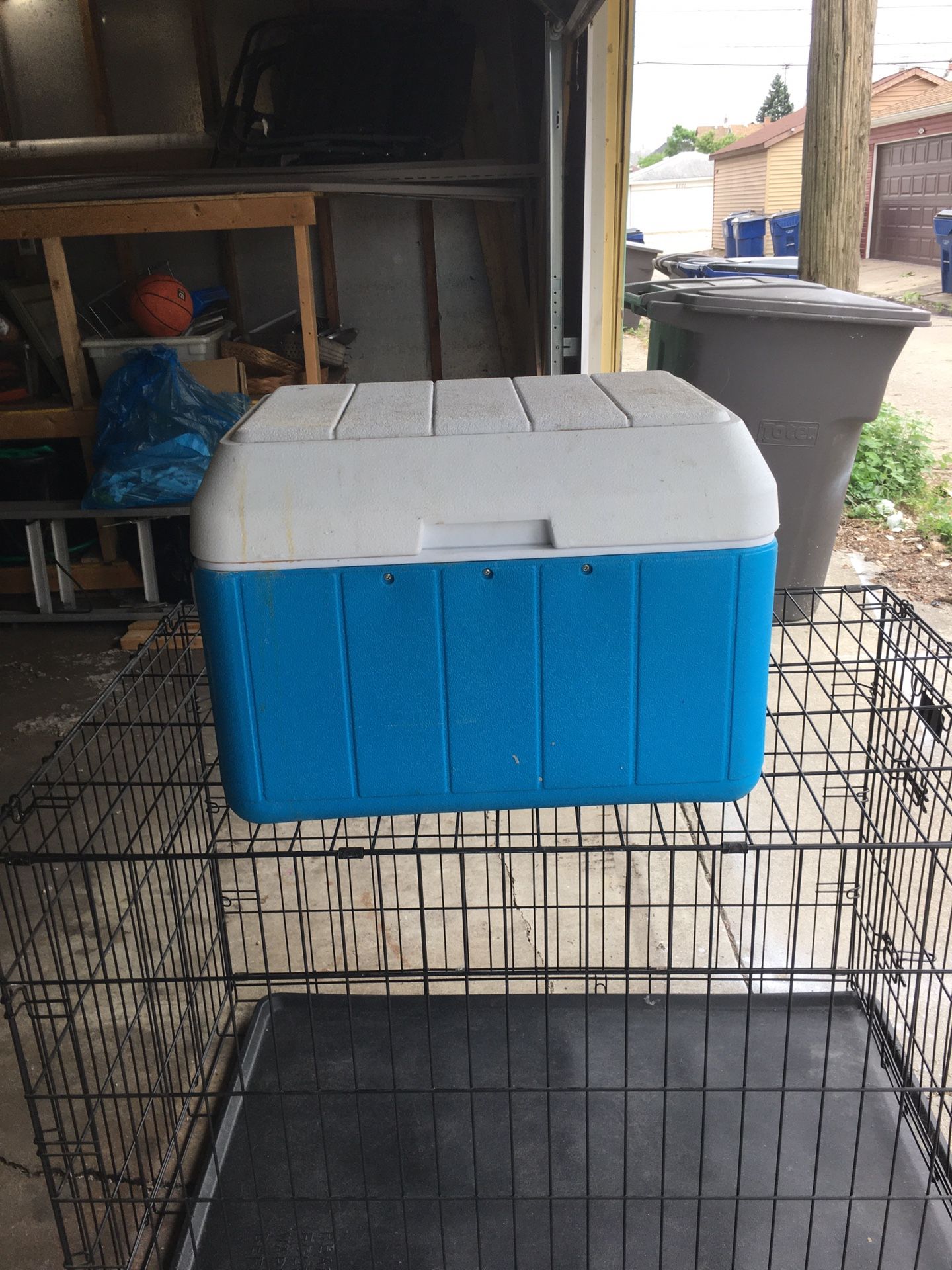 Cooler