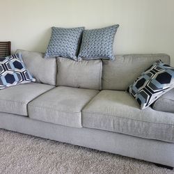 Grey Colored Sofa