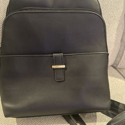 Backpack Style Purse