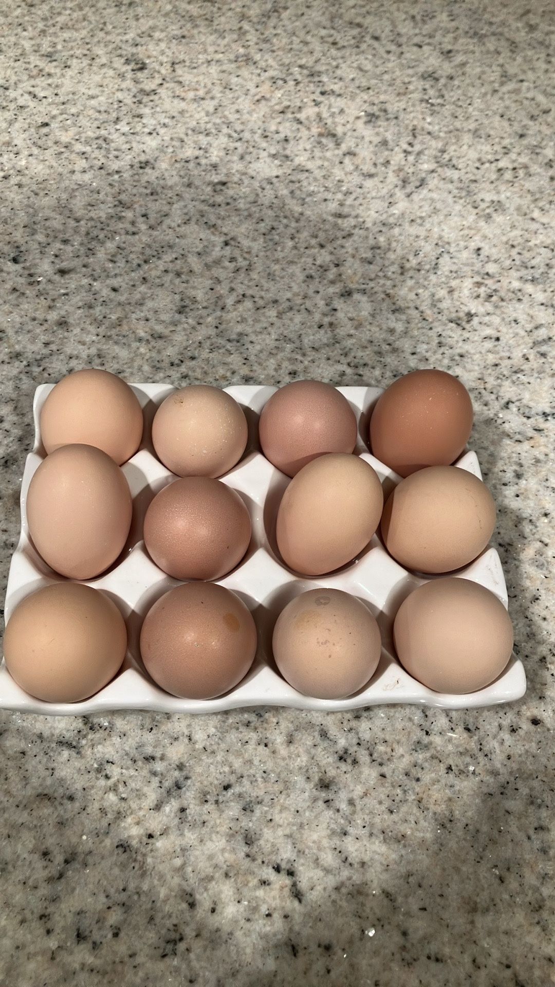 Fresh Eggs