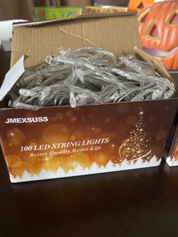 33Ft String Lights