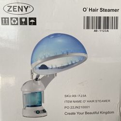 Hair Steamer