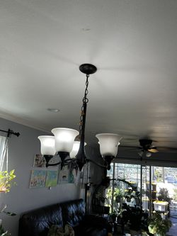 Chandelier/light Fixture