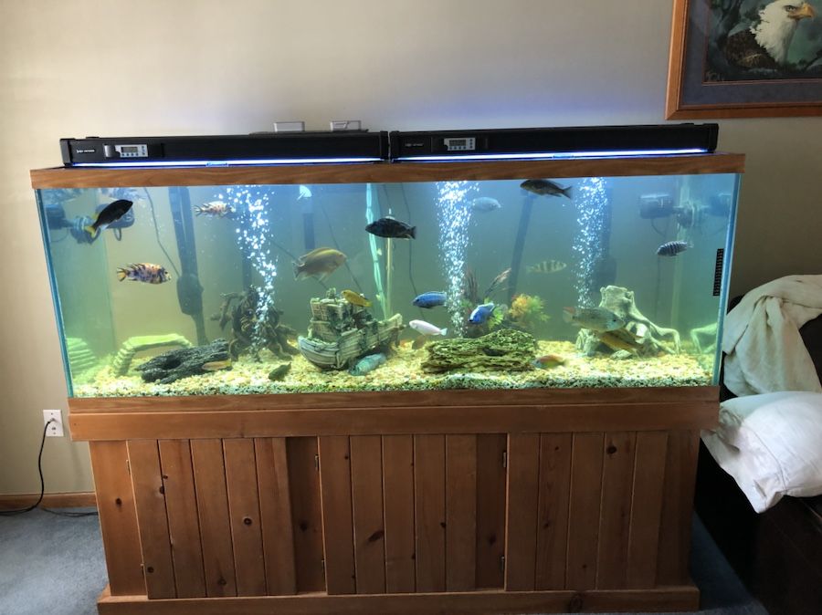 150 gallon tank