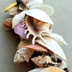 Shell Collector's Dream! HUGE 4'FT LONG Garland with 100+ Beautiful Sea Shells!