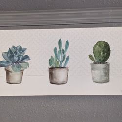 Succulent Canvas Painting 