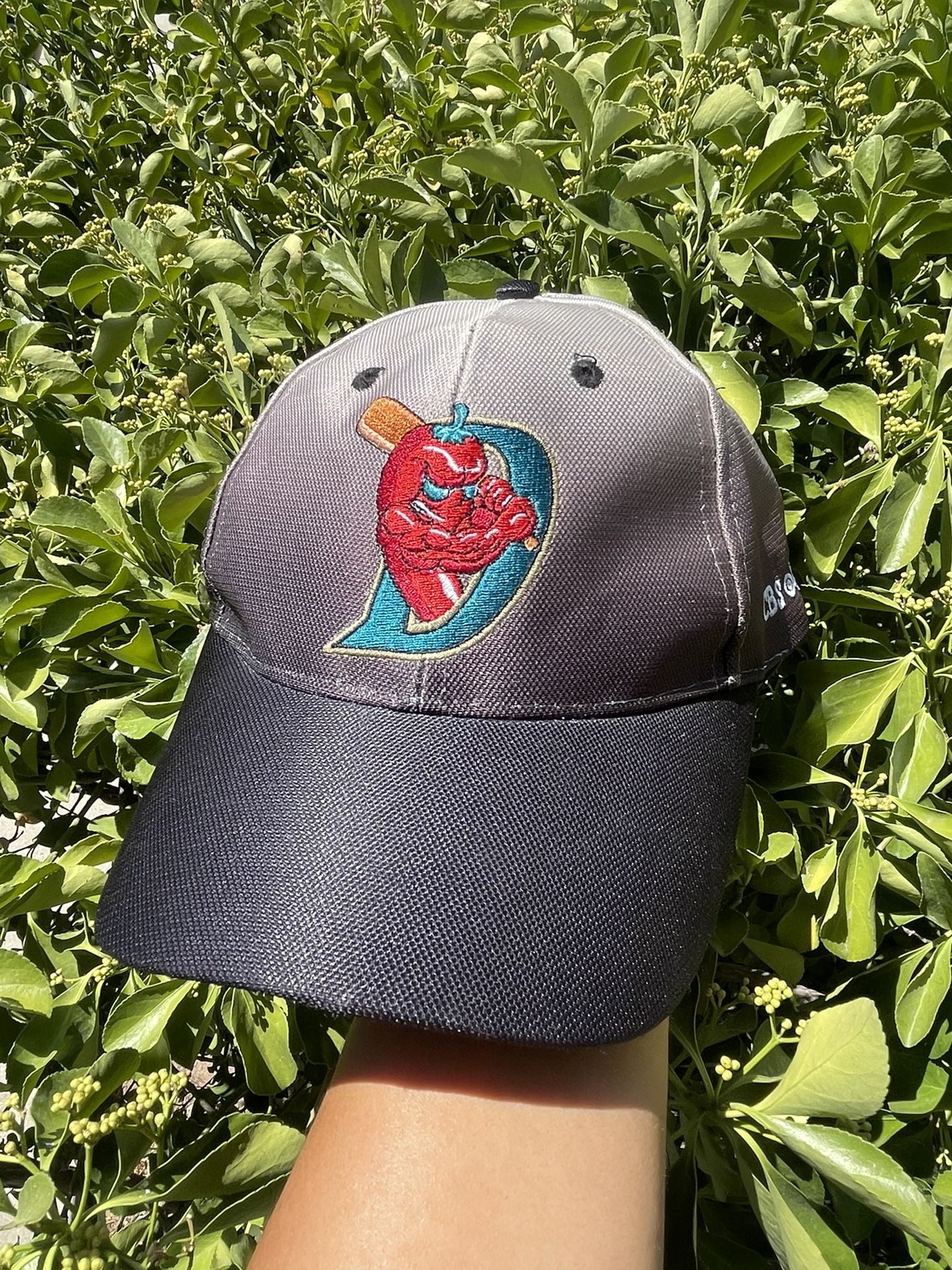 Diablos Baseball Hat 