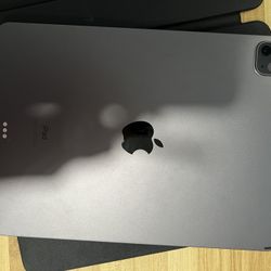IPad Pro 1TB GB 