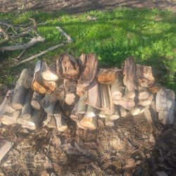 Walnut Seasoned Firewood 