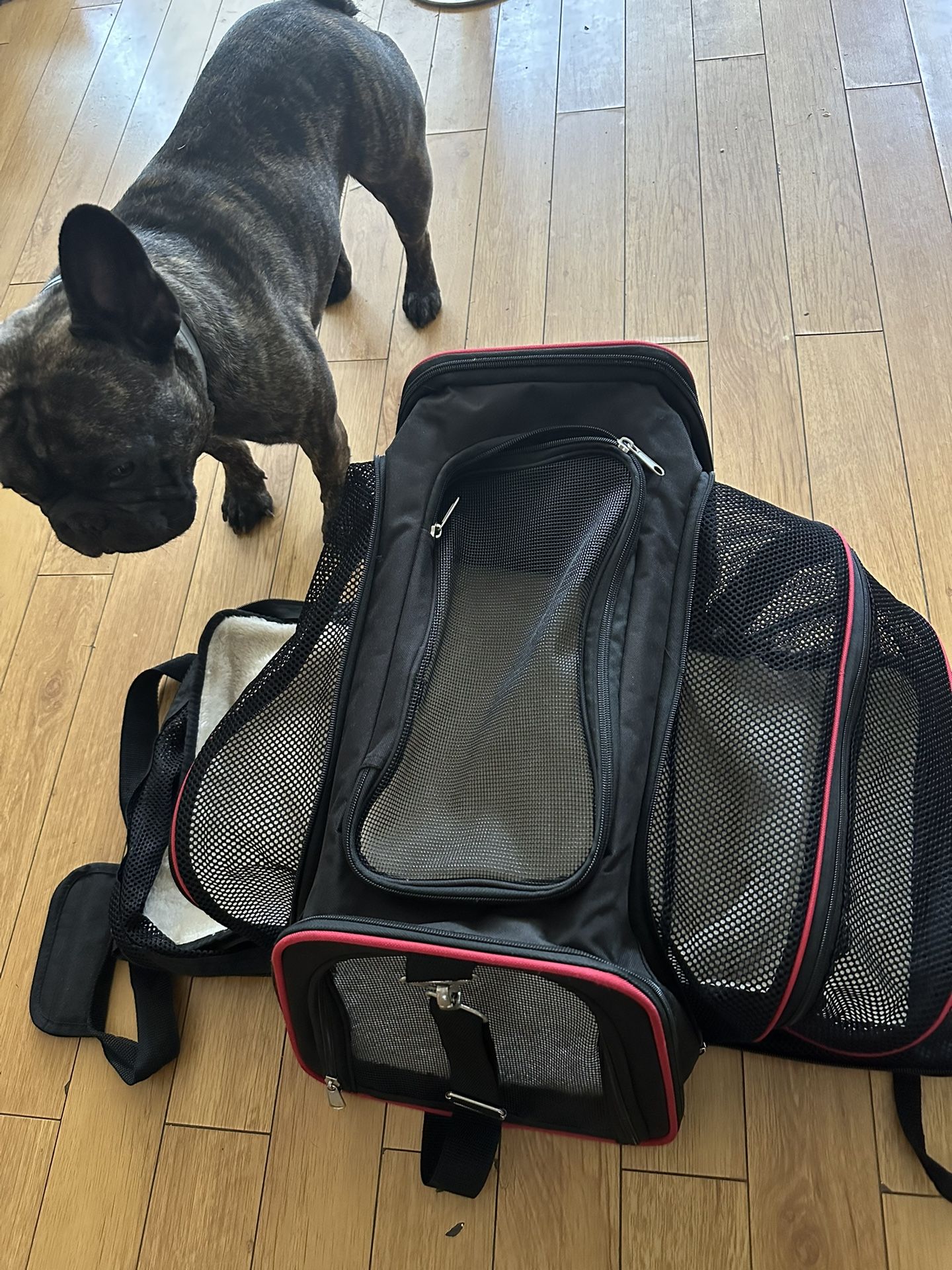 Expandable Pet Carrier