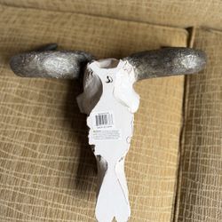 Skull Decor 