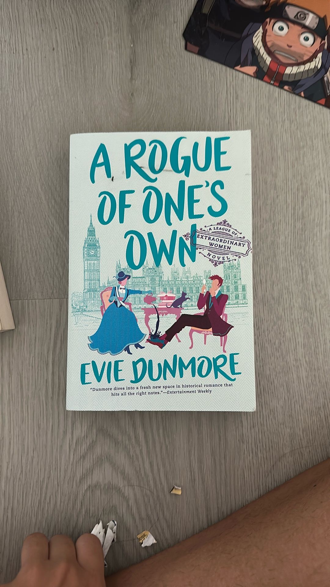 A Rogue Of Ones Own Book