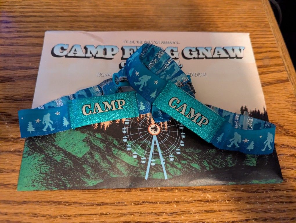 Camp Flog Gnaw Ticket $380