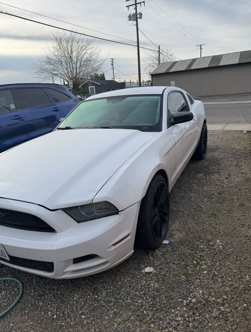 2014 Ford Mustang