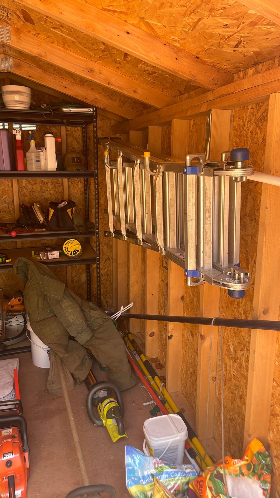 Werner Ladder