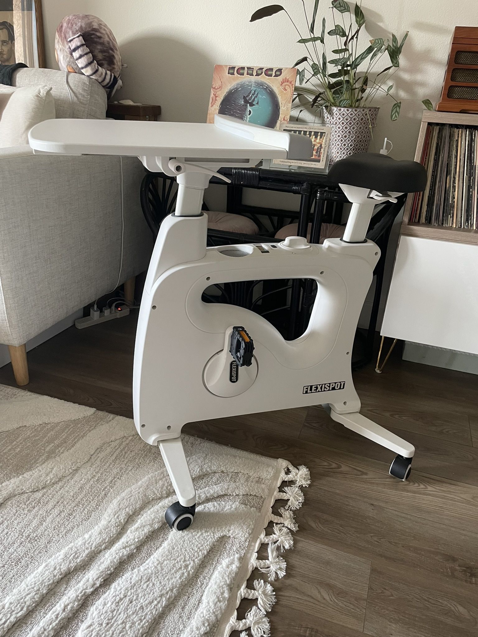 FlexiSpot Exercise Bike with Desktop