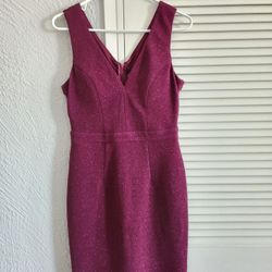 Burgundy Dress