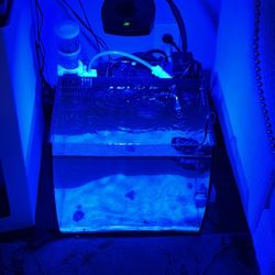 Fluvial Flex Fish Tank