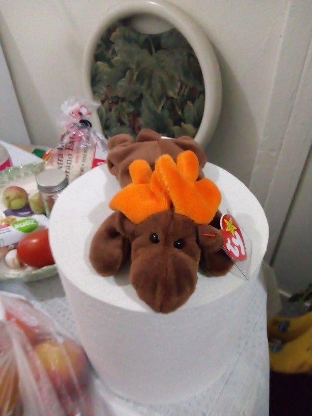 TY Beanie Baby CHOCOLATE THE MOOSE Rare/Retired ERROR Birthday Apr 27 1993 JKT11