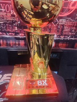 Chicago Bulls 6X championship trophy 🏆