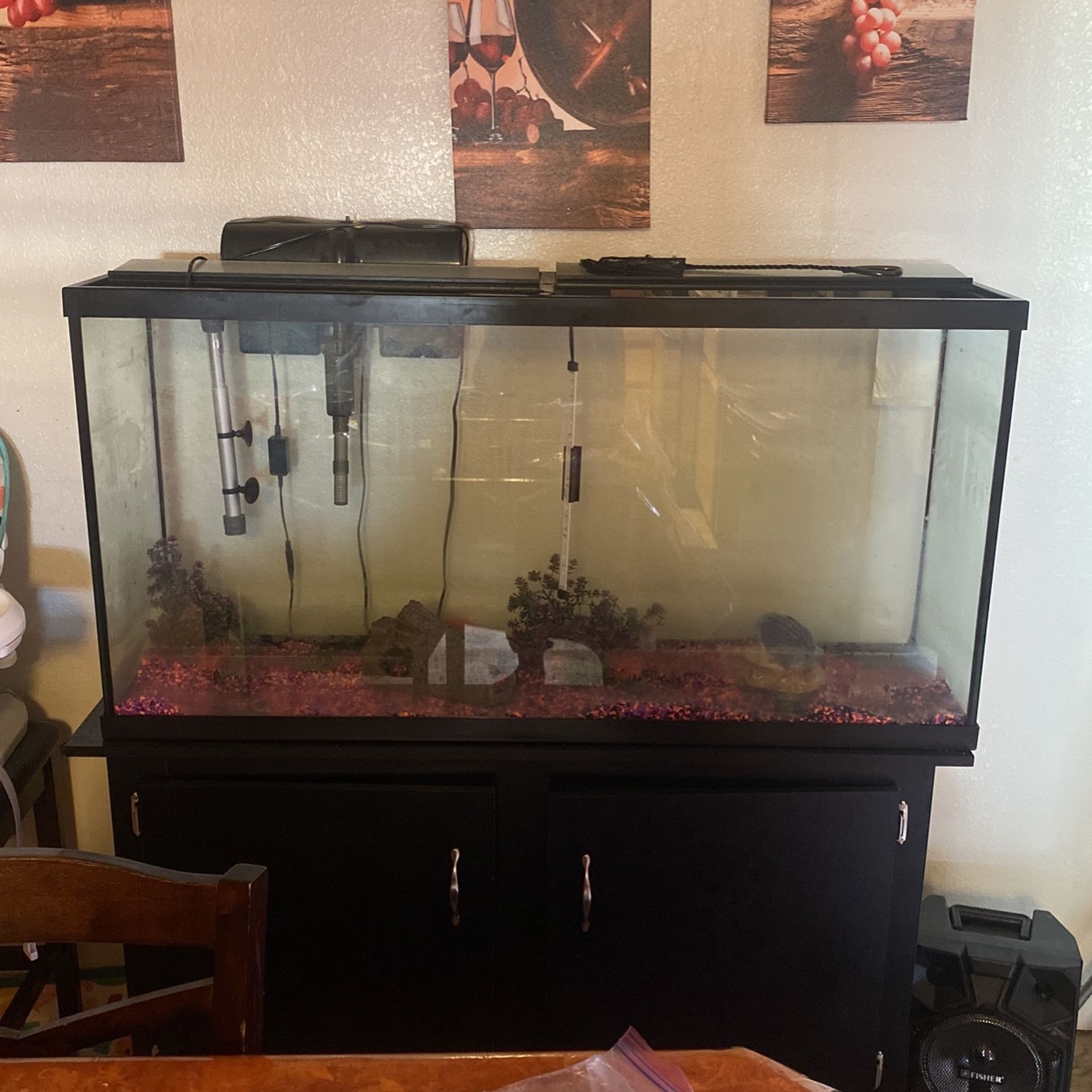 Fish Tank (50) Gallon 