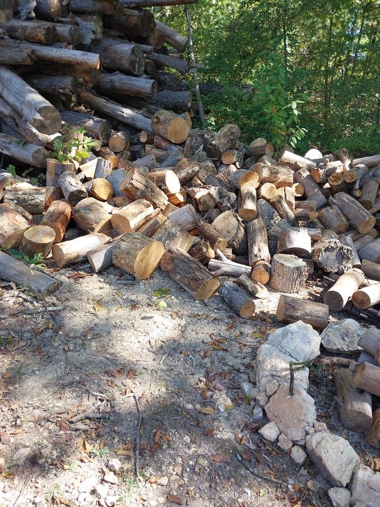 Firewood.