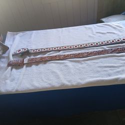 Cintos De Sincelados De Zacatecas 