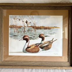 Vintage Framed And Signed Pintail Duck Print By Robert W. Hilty