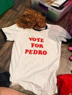 Vote for Pedro costume