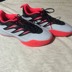 Adidas formula 0