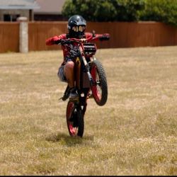 Custom Ebike 