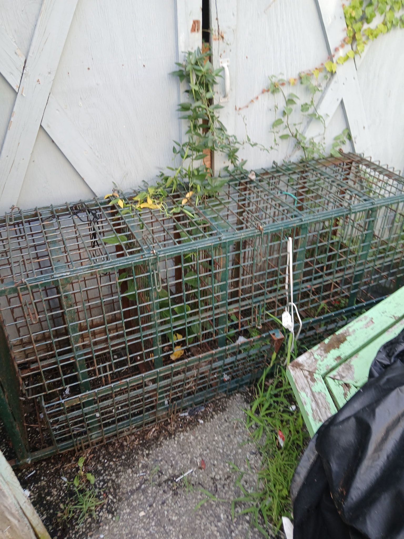 Metal Organizer Stand Up  Cage 