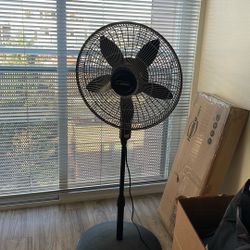 Stand (Oscillating) Fan