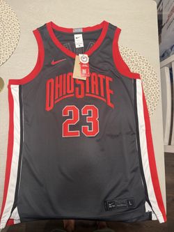Ohio state lebron collab jersey
