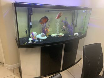 180 Gallon Fish Tank