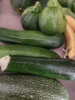 Vegetales