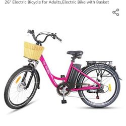 Electric Bike
