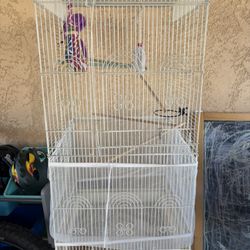 Bird Cage