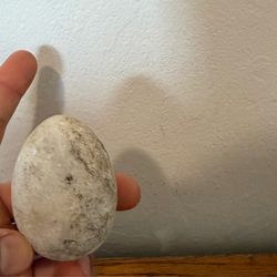 Grey Marble Egg  dinosaur bone petrified agatized specimen Gem Stone Sphere Palm Healing