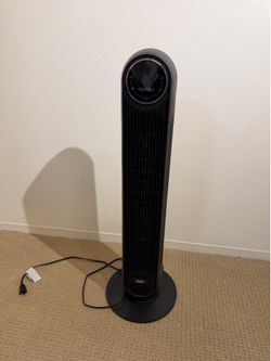 fan