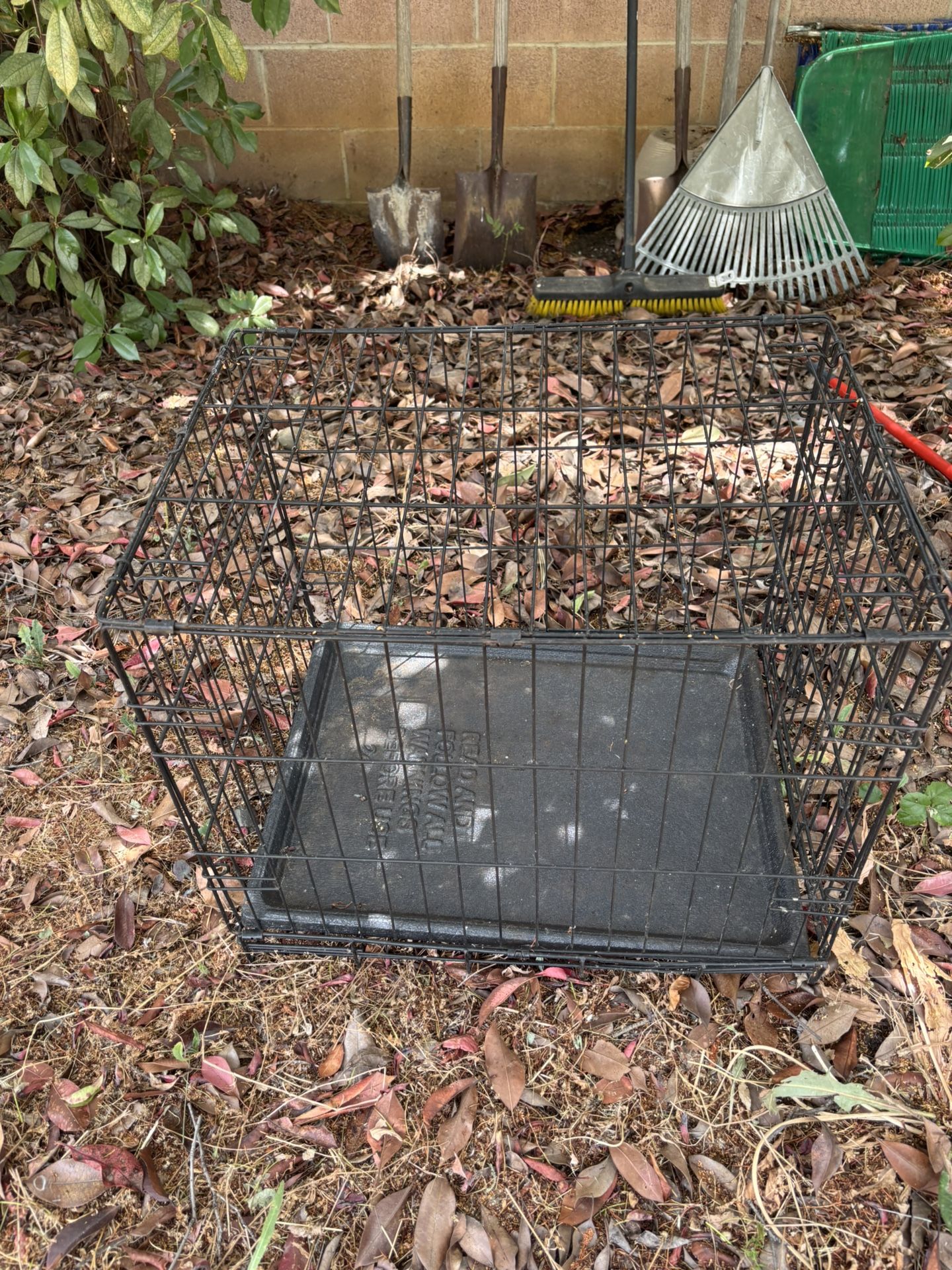 Dog Cage