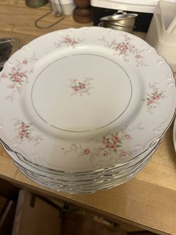 Mikasa Dinner Plates