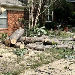 Good Prices  On 🌳🌳 Removal