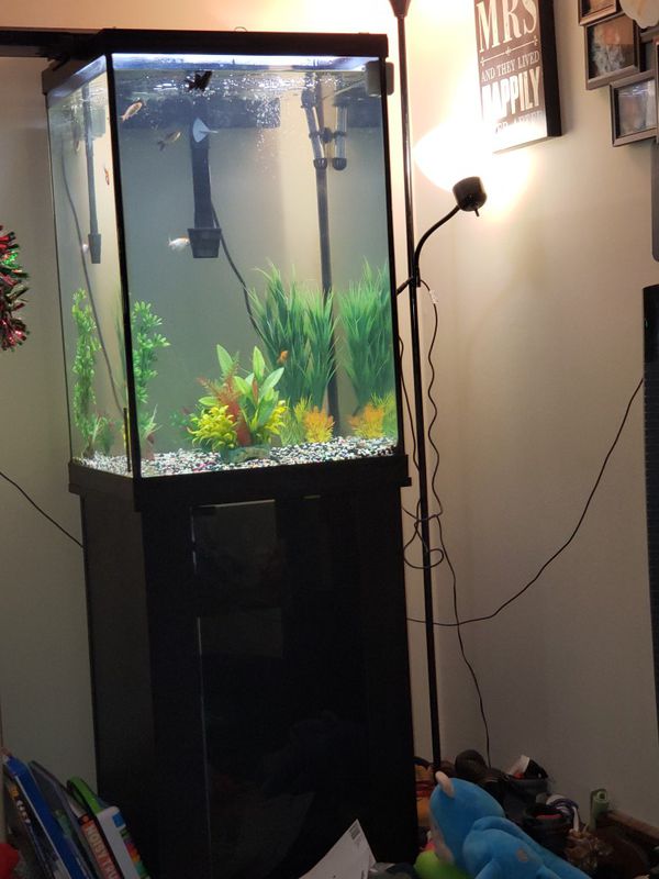 50 Gallon Fish Tank And Stand for Sale in Kansas City, MO