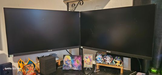 Asus Monitor 24"