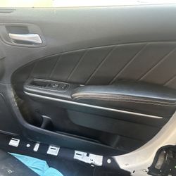 Hellcat Door Panels